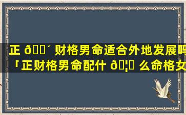 正 🐴 财格男命适合外地发展吗「正财格男命配什 🦊 么命格女生」